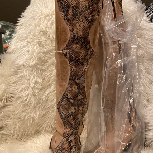 CALGARY Freebird by Steven - Picture 2 of 13